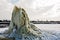 Winter geyser on sludge fields