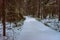 Winter gloomy road in snowy forest