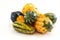 Winter gourds in different shapes halloween and thanksgiving