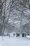 A winter graveyard with freshly fallen snow covering the grave stones