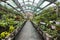 Winter greenhouse with plants