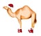 Winter happy camel in Santa hat and shoes. Christmas design for cards, backgrounds, fabric, wrapping paper. Merry Christmas and
