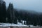 Winter Hasmas Mountains Eastern Carpathians, Romania. Foggy day and beautiful trees