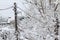 Winter. Heavy snow on electrical wires. Snow on old electricity wires