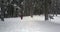 Winter hiker in snowy forest