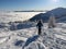 winter hikers climbing uphill trees covered with snow