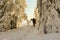 Winter hiking trail whit snow in Parang Mountains, Romania.
