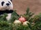 Winter holiday decoration: fraser fir table wreath centerpiece with cones, juniper, Christmas tree balls and panda bear