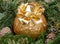 Winter holiday decoration: fraser fir table wreath centerpiece with cones, juniper and Italian chocolate ball