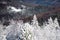 Winter holiday and travel. Winter landscape with trees covered with snow hoarfrost.