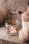 Winter home decor. Christmas rustic interior. Farmhouse decoration style. warm cloth and decorative elements candle on wooden back