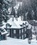 Winter houses on winter mountain landscape with white snowy spruces. Amazing view on snowcovered forested mountain slope.