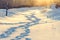 Winter human footprints in the snow at sunrise