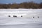 Winter ice fishing on the snow-covered ice of the Volga River in Russia in the vicinity of Yaroslavl, for a lot of fishermen it`s