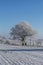 Winter Idyll In The North Of Germany