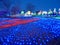 Winter Illuminations in Japanese Flower Park
