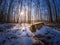 Winter impressions of the Bavarian forest in snow