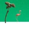 Winter inspired concept. Snowing on palm tree made of pine branch and cones with flamingo a side against green background