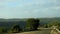 Winter in Israel. Green mountains Carmel - after the first rains. And a blue sky with white clouds.