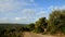 Winter in Israel. Green mountains Carmel - after the first rains. And a blue sky with white clouds.