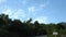 Winter in Israel. Green mountains Carmel - after the first rains. And a blue sky with white clouds.