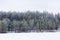 Winter in the lake. Icy cold forest. Frosty wood and ground. Freeze temperatures in nature. Snowy natural environment