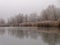 Winter lake landscape frosted plants at shore, water reflection, grey shades