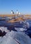 In winter the lake red-crowned cranes under the blue sky