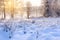 Winter landscape along snow covered riverbank