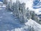 Winter landscape. Alta ski resort.