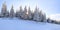 Winter landscape. Amazing panorama is opened on mountains, meadow, the forest with trees covered with snow and the blue sky.