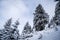 Winter landscape between Azuga and Grecului valley