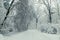 Winter landscape - Bare tree branches covered with snowdrifts