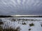 Winter landscape with bare trees, grasses and snow covered ground in Orleans, Ontario