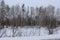 Winter landscape with bare trees and a road / Gloomy winter day /