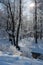 Winter landscape with beautiful frozen trees