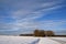 Winter landscape in the Biesbosch