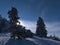 Winter landscape with bright sun shining through branches of a snow-covered tree throwing shadows on butte hill KornbÃ¼hl.