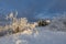 Winter landscape with brunhildis rock at Feldberg