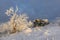 Winter landscape with brunhildis rock at Feldberg