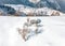 Winter landscape in the Carpathian Mountains with traditional peasant house and trees covered in snow