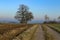 Winter landscape in central Europe abnormally warm winter