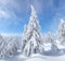 Winter landscape. Christmas wonderland. Meadow covered with frost trees in the snowdrifts. Forest. High mountaint. Snowy wallpaper