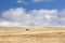 Winter landscape with a cleaned agricultural field with a straw stack and first snow under dark blue sky with a spectacular clouds