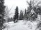 Winter landscape in the coniferous forest. Abandoned old wooden house, the Forester`s hut on a snowy meadow in the Carpathian mou