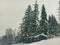 Winter landscape in the coniferous forest. Abandoned old wooden house, the Forester`s hut on a snowy meadow in the Carpathian mou