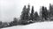 Winter landscape in the coniferous forest. Abandoned old wooden house, the Forester`s hut on a snowy meadow in the Carpathian mou