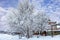 Winter landscape of the countryside