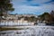 Winter landscape of the countryside of Puglia