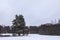 Winter landscape in countryside. Snowy field and pine tree